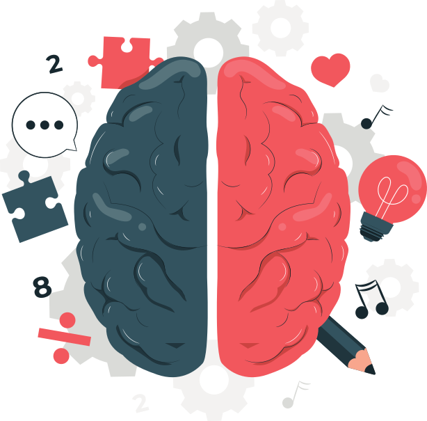 brain image